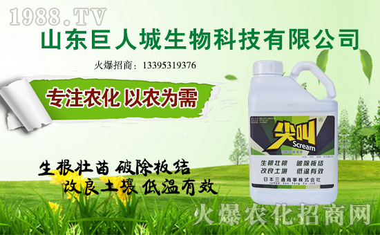 �����˳����ף������µ�һ�������w�����������³����f�����⣡