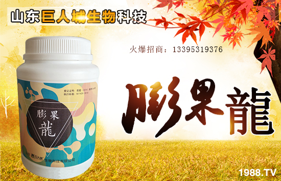 �����˳����ף������µ�һ�������w�����������³ɣ��f��������