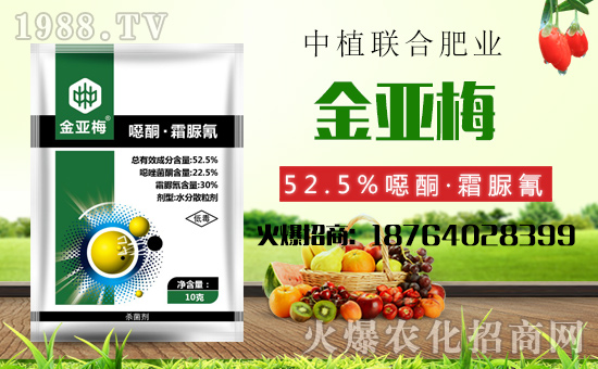 ����ֲ(li��n)�ϡ�ף������������옷���f��������