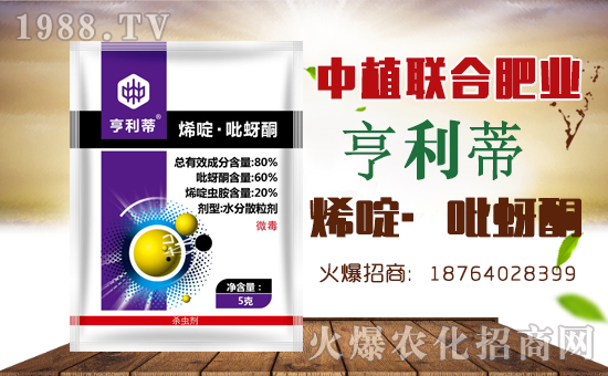 ����ֲ(li��n)�ϡ�ף������������옷���f��������