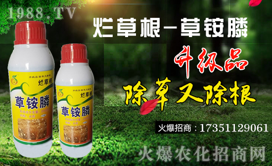     �����K���r(n��ng)��ף������µ�һ���﹤�����������������