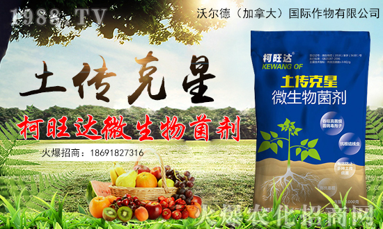 ���֠��¡�ף������µ�һ���﹤�����������������