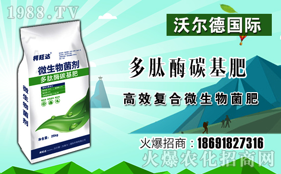 ���֠��¡�ף������µ�һ���﹤�����������������