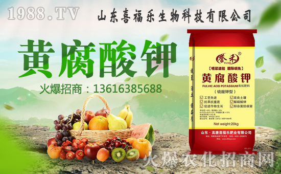 ��ϲ������ף������µ�һ���﹤�����������������