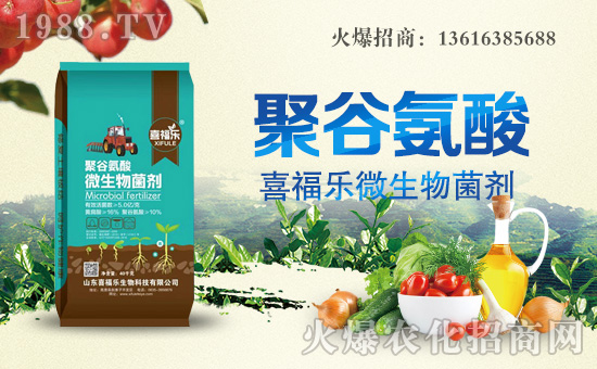 ��ϲ������ף������µ�һ���﹤�����������������