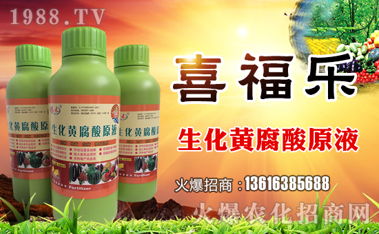 ��ϲ������ף������µ�һ���﹤�����������������