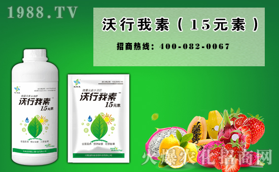     ���_�������͚g��Ę����У��µ�һ�����҂��߁����o�fӭ��֮�H���҂����ǰٸн�����˼�w�fǧ��