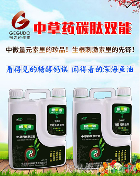 �����u��֮����ףԸһ·�������т����w�������i�꼪����