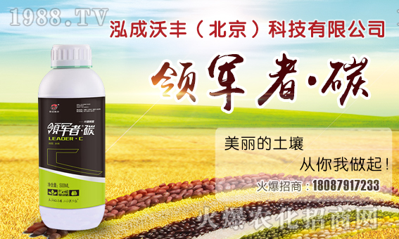 ���������S��ףȫ����(j��ng)�N�����w�������i�꼪����