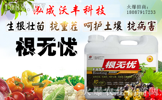 ���������S��ףȫ����(j��ng)�N�����w�������i�꼪����