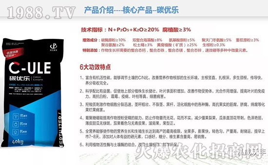 ���������S��ףȫ����(j��ng)�N�����w�������i�꼪����