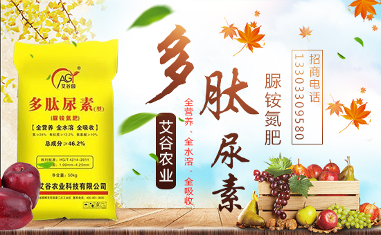     �������r(n��ng)�I(y��)����ף����´��옷(l��)�����w�������H���Ҹ����f(w��n)�����⣡