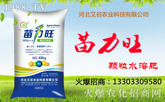     �������r(n��ng)�I(y��)����ף����´��옷(l��)�����w�������H���Ҹ����f(w��n)�����⣡