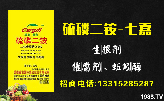     �D��ӭ���r(n��ng)�v���������q����ƽ����ֵ���´��ѹ�(ji��)���R֮�H���ӱ��߼��r(n��ng)�I(y��)�Ƽ����޹�˾ף������µ�һ�������w�������f��������