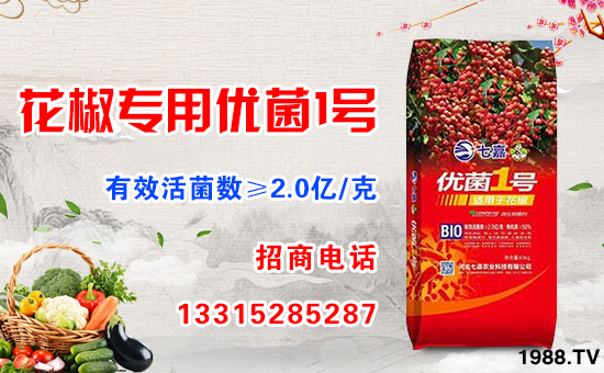     �D��ӭ���r(n��ng)�v���������q����ƽ����ֵ���´��ѹ�(ji��)���R֮�H���ӱ��߼��r(n��ng)�I(y��)�Ƽ����޹�˾ף������µ�һ�������w�������f��������