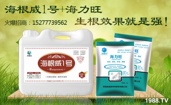 ��Ӣ��(gu��)�W�ʩ��ף���g�gϲϲӭ�i�����f(w��n)������ƽ������