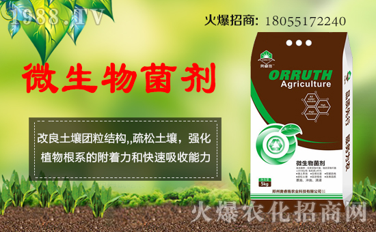 ��Ӣ��(gu��)�W�ʩ��ף���g�gϲϲӭ�i�����f(w��n)������ƽ���꣡