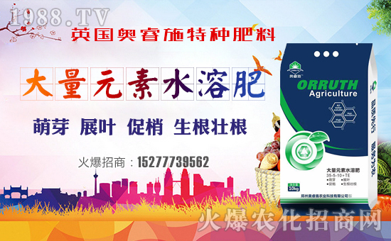 ��Ӣ��(gu��)�W�ʩ��ף���g�gϲϲӭ�i�����f(w��n)������ƽ������