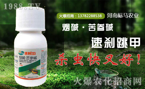 ����(bi��o)�R�r(n��ng)�I(y��)����ף��λ��(j��ng)�N���������w���������������