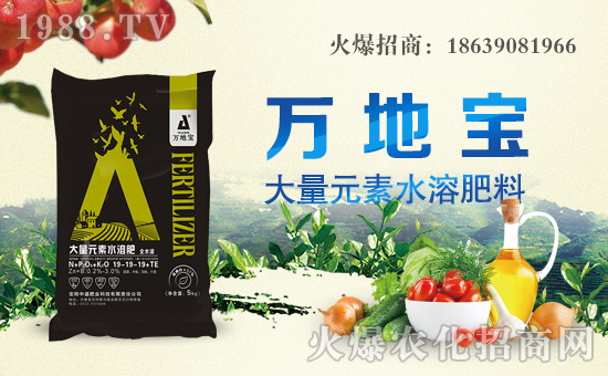 ����ʢ�ʘI(y��)��ף������µ�һ�������w�������H�Қg����