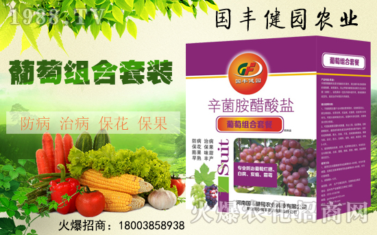 �����S���@��ȫ�w�T��ף����´��옷������������