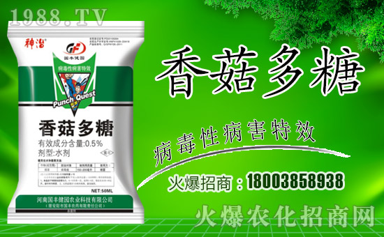 �����S���@��ȫ�w�T��ף����´��옷������������