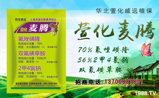 ���滯���h(yu��n)��ף������µ�һ������w�������f��������