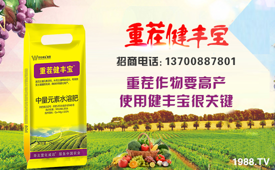 ���滯���h(yu��n)��ף������µ�һ������w�������f�����⣡