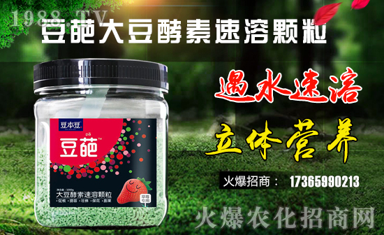 ��������������ף������µ�һ�����Ҹ����M���H�Қg����