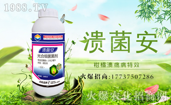 ����ԣ�r(n��ng)�I(y��)��ף������µ�һ�������w�������f(w��n)��������