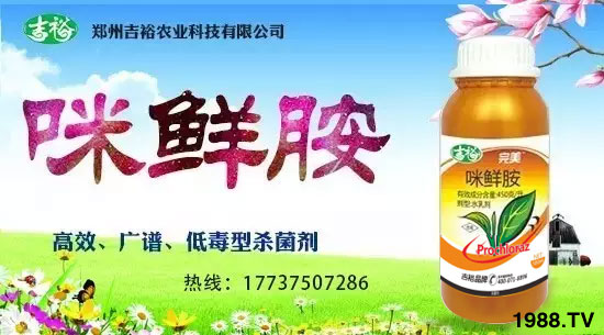 ����ԣ�r(n��ng)�I(y��)��ף������µ�һ�������w�������f(w��n)��������