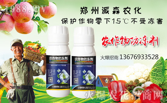 ����ɭ�r(n��ng)����ף������µ�һ���﹤�����������������