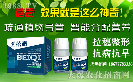 ���v�S�r�I(y��)��ף������µ�һ����ؔԴ�L�L�������d����