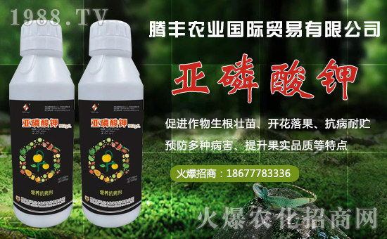 ���v�S�r�I(y��)��ף������µ�һ����ؔԴ�L�L�������d����