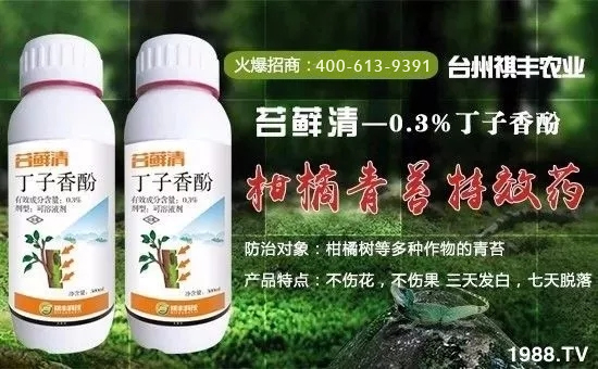 �����S�r(n��ng)�I(y��)��ף������µ�һ�������w�������H�Қg����