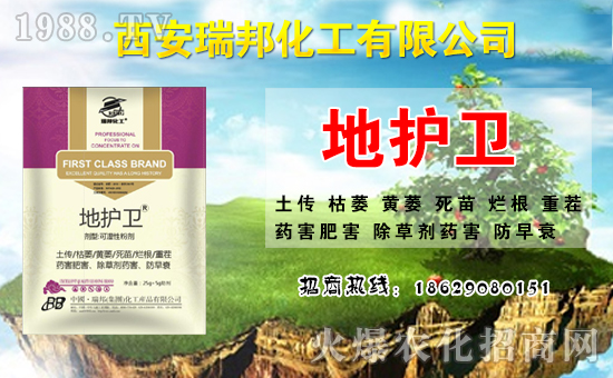 ��������ףȫ�������´������f��������