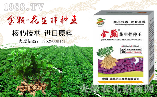 ��������ףȫ�������´������f��������