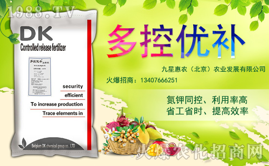 �����ǻ��r(n��ng)��ף������µ�һ���������³����f��������