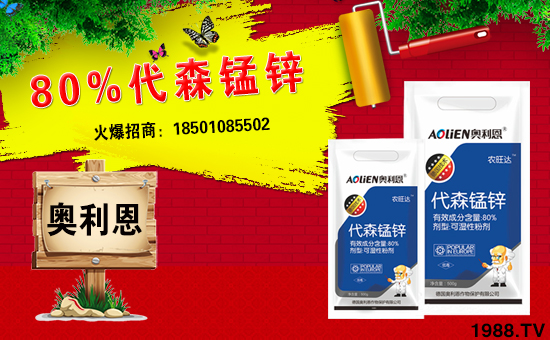 �����W������ף������µ�һ���﹤�����������������