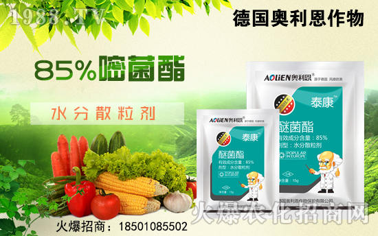 �����W������ף������µ�һ���﹤�����������������