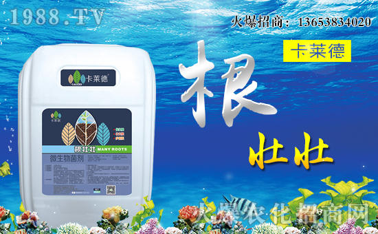 �����R���r�I(y��)��ȫ�w�T����ףȫ�����N�����w�������f�����⣡