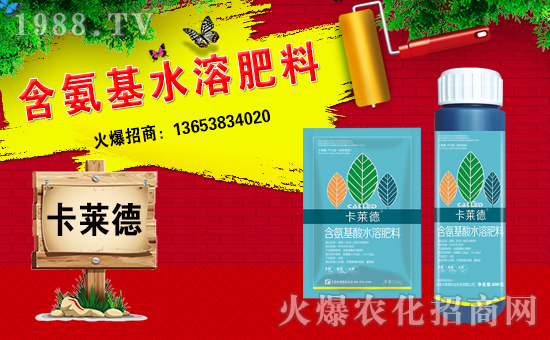 �����R���r�I(y��)��ȫ�w�T����ףȫ�����N�����w�������f��������