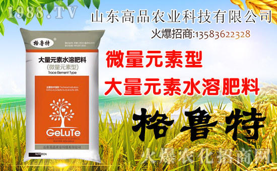 ��ɽ�|��Ʒ���o��Ұ�������ף��ؔԴ�V�M�������³����f��������