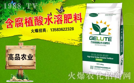 ��ɽ�|��Ʒ���o��Ұ�������ף��ؔԴ�V�M�������³����f��������