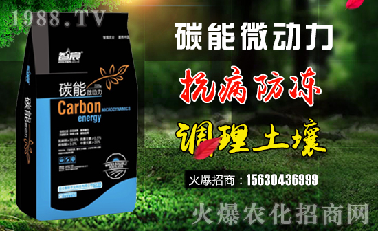     ������r(n��ng)�I(y��)��ףȫ��(gu��)�������w�������f(w��n)��������