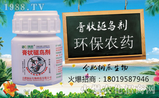 ���{�����ף���i���д��\(y��n)��ؔ�\(y��n)�L�L����