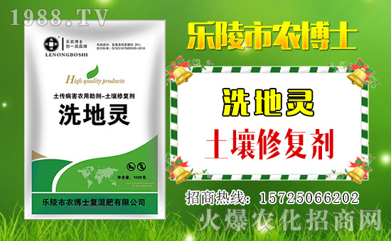 ���r(n��ng)��ʿ��ף���2019��������\(y��n)�������ո�������