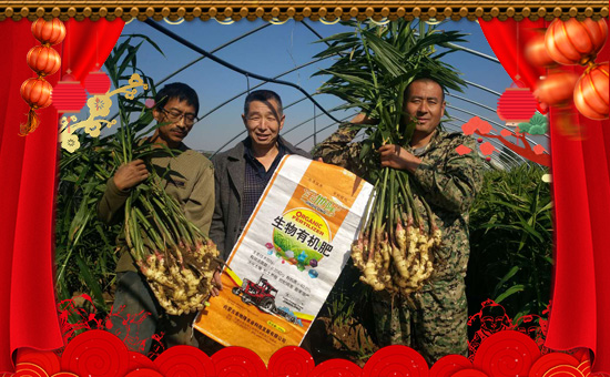     �C�����ں��������������⣬�ں����м������I(y��)���ں����ЉѴ������룬�ں������v�w��ֵ���´��ѹ�(ji��)���R֮�H�����ɹŽ��¡�r�I(y��)�Ƽ��l(f��)չ���޹�ףԸ��λ���N�����ѣ����w������ؔԴ�V�M���f�������