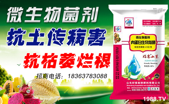 ��ɽ�|�ÿ͡�ף�����������w�������f�����⣡