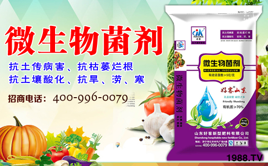 ��ɽ�|�ÿ͡�ף�����������w�������f�����⣡